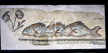 2461 BethShean mosaic