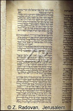 2506-1 Torah script