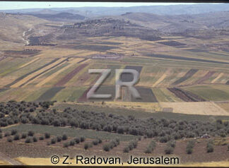 256-11 Valley of Elah