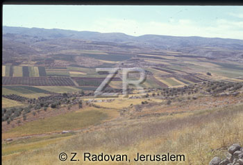 256-13 Valley of Elah