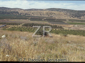 256-15 Valley of Elah