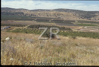256-15 Valley of Elah
