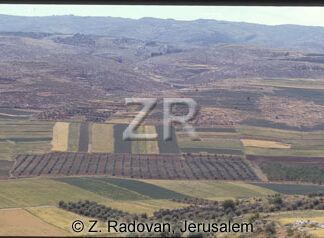 256-17 Valley of Elah