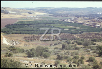 256-18 Valley of Elah