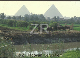 2561-6 Giza piramids