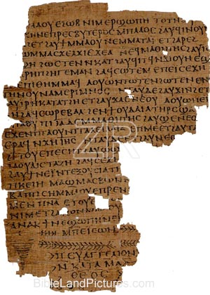 2717-5 Nag Hammadi codex