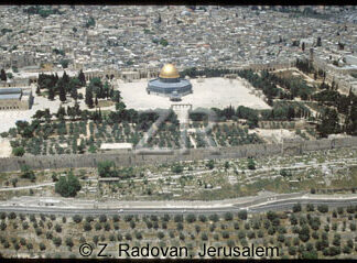 2813 The Temple Mount