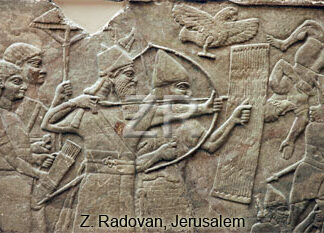 2836-6 Assyrian archers