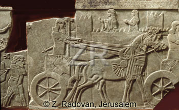 2837 Assyrian army