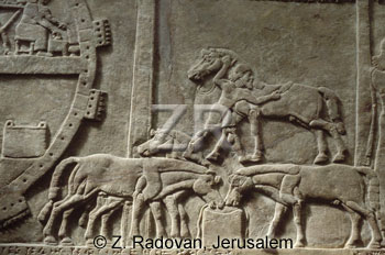 2840 Assyrian army