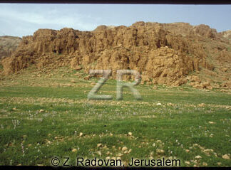 293-2 Qumran
