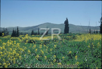 3076-3 Lower Galilee