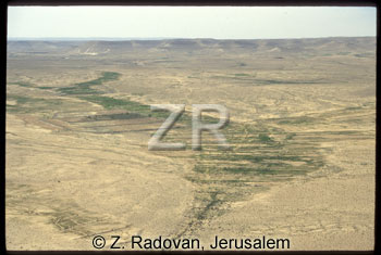 3185-10 Nabatean agricultur