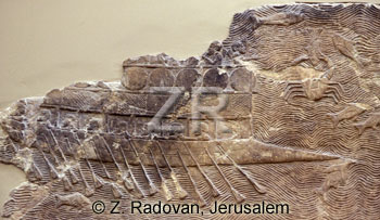 3231 Assyrian war ship