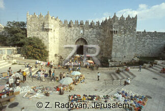 325-10 The Damask gate