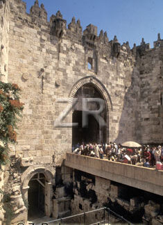 325-9 The Damask gate