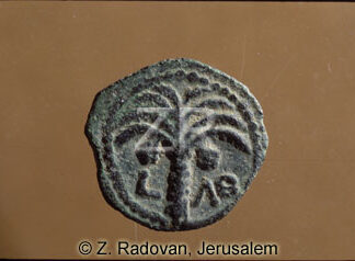 3272-1 Ambibolus coin