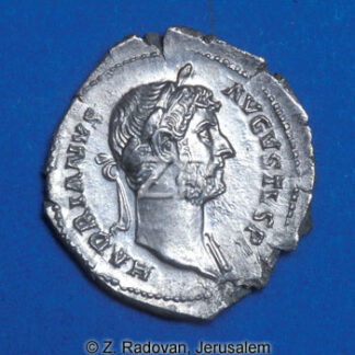 3304-6 Hadrian