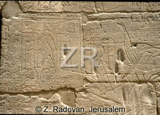 3425-2 Conquest of Ashkelon