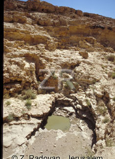 3456-1 Wadi Carcom
