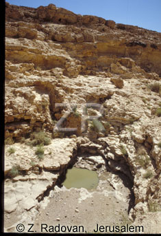 3456-1 Wadi Carcom
