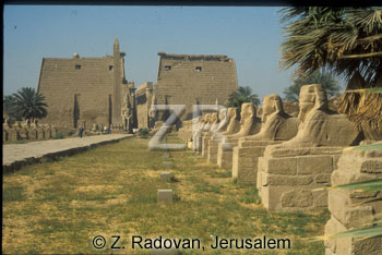 3530.-5 Luxor temple