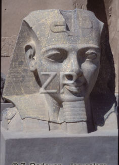 3531-2 Ramses II