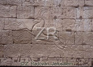 3537 Ramses III in battle