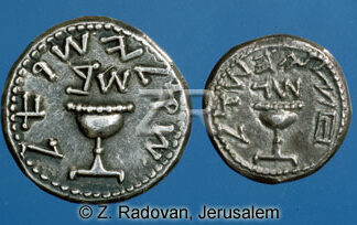 3555 Shekel coins