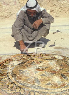 3567-5 Excavating mosaics