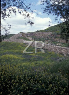 3674-2 Lachish