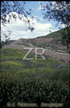 3674-2 Lachish