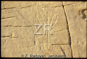 3897-1 Sinai inscriptions