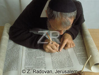 405-17 Torah scribe