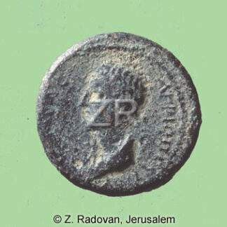 4164-1 Agrippa II.-coin