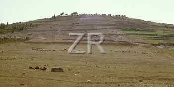4278-3 Tel Zif-(Ziph)