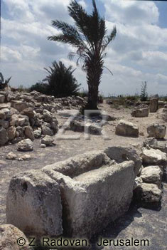438 Megiddo