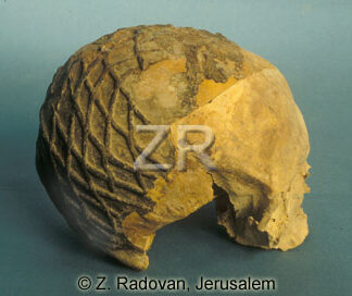 4381-2 Nahal Heimar skull