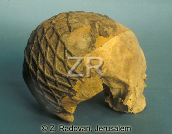 4381-2 Nahal Heimar skull