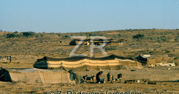 4414-1 Beduin tents