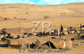 4414-2 Beduin tents