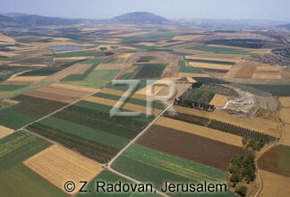 442-3 The Valley of Jezreel