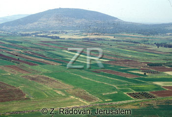 442-4 The Valley of Jezreel