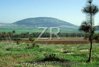 442-5 The Valley of Jezreel