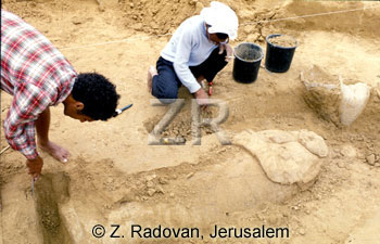 4738-11 Anthropoid excavati