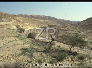 5111-7 Northern Negev