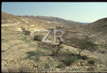5111-7 Northern Negev