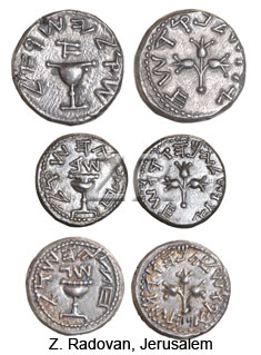 5299 Shekel coins
