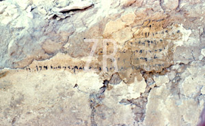 5385-2 Kuntillet Ajrud inscription