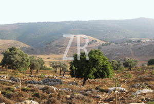 5499-2 Tel Yodphat